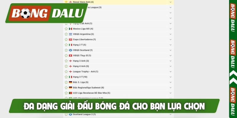 Đa dạng giải đấu bóng đá cho bạn lựa chọn